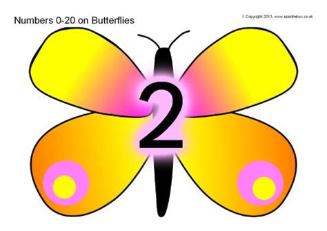 butterfly number in jueteng